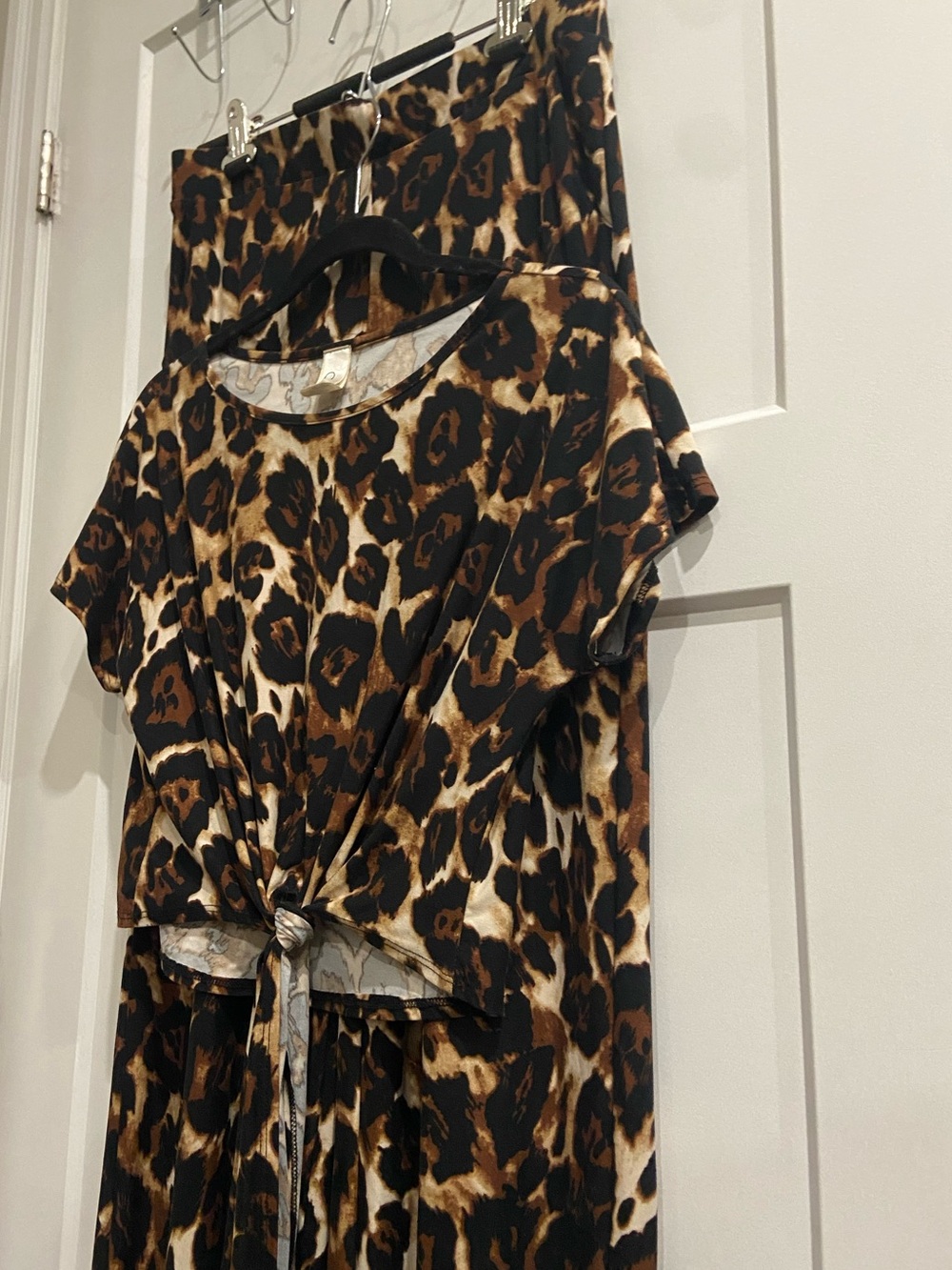 Leopard Print Front-Tie Top and Pant Set